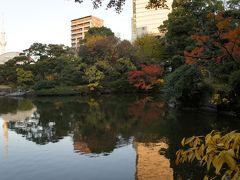 susanaのバタバタ休日　アートの後で、旧安田庭園の紅葉2012を見に行こう！