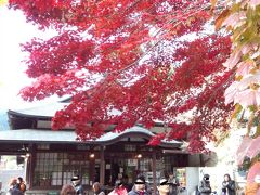 紅葉にはもはや遅参(￣ー￣；～　武蔵御嶽神社参拝＆つるつる温泉