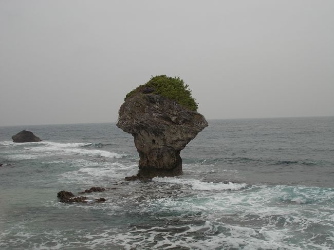 台湾の高雄を基点に旅をしてきました。２日目に丸一日で小琉球へ行くことにしました。<br /><br />高雄から高速バスで１時間、東港（とうかん）という港から船で３０分程度かかります。<br />たまたま港でツアーデスクがあり、島内を観光できるツアーがありましたので、それで島内を観光することにしました。<br /><br />どうぞ、ご覧下さい。<br /><br /><br />※写真は小琉球にある花瓶石です。島全体が石灰岩でできているようです。この他にも面白い地形が多く見られました。<br /><br /><br /><br />【旅行行程】<br />・１日目(11月26日)<br />自宅→ＪＲ線、京成スカイライナー→東京成田11：50発スクートTZ201便搭乗→15：30台北桃園到着(予定は14：35)→バス、台湾高速鉄道にて高雄へ<br /><br />高雄市内観光(六合夜市、愛河中心に)<br /><br />・２日目(11月27日)<br />小琉球観光→高雄市内をブラブラ<br /><br />・３日目(11月28日)<br />高雄市内観光(旗津半島、龍虎塔中心に)<br /><br />高雄左営より台湾高速鉄道、ＭＲＴにて台北松山へ→台北松山16：00発エバー航空BR190便搭乗→東京羽田着19：50→モノレール、ＪＲ線にて帰宅<br /><br /><br /><br />【利用航空会社、利用宿泊先】<br />・スクート(scoot)<br />ScootBiz利用、東京→台北　18050円(その他、税金等含)<br /><br />・エバー航空<br />プレミアムローレルクラス利用<br />マイレージアップグレードクーポン(エバーグリーンクラブ15000マイル)＆1500マイルディスカウントにて30000円にて手配(諸税含む)<br /><br />・アンバサダーホテル高雄<br />expediaにて手配。手配料含めて２泊で13600円。シングルルーム手配(この宿泊プランはキャンセル一切不可！)<br /><br /><br />