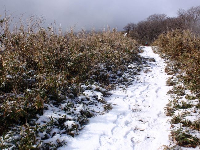 1099mの竜ヶ岳に行きましたが、登山口の宇賀渓は小雨。７00m付近遠足尾根から白いものに変わり、止んだり降ったり<br />遠足尾根はすでに葉が落ち、落ち葉を踏み、ササ原の中を気持ちよく歩く。上部に行くに従い登山道に積雪が・・・<br />吹雪となり、寒さに負けて撤退する。