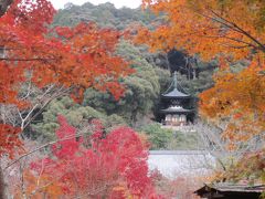秋の京都、車中一泊弾丸ツアー！！
