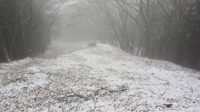 速報！初雪！奥多摩