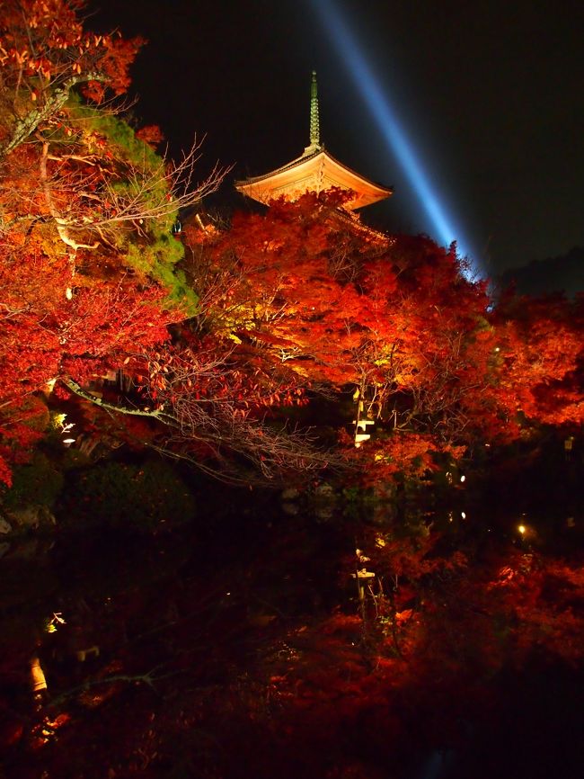 【２泊３日の旅。秋の京都紅葉スポット巡り③】<br /><br />秋の京都・紅葉巡りの第三弾は、ちょっと趣向を変えて、夜の紅葉ライトアップへ繰り出すことに。<br /><br />訪れたのは、言わずと知れた京都随一の観光名所・清水寺。<br />毎年春・夏・秋に夜の特別拝観を行っていて、今まさに「秋の夜間特別拝観」の時期にあたり、昼間とはまた違った、光に包まれた幻想的な雰囲気の中拝観できるとのこと♪<br />もちろん、その分観光客も殺到するそうですが…さてさて、どうなることやらと不安と期待が入り交じりながら、京都駅前を出発します！<br /><br />※あまりもの人波のため、じっくり立ち止まって写真を撮ることができず、ブレたもの多くなっていますがご容赦ください。<br /><br />〔旅の行程〕<br />・京都駅 ～ 茶わん坂 ～ 清水寺 ～ 五条坂 ～ 京都駅 <br /><br />【旅行記その１】～秋雨に濡れる門跡寺院・毘沙門堂へ～<br />　http://4travel.jp/traveler/akaitsubasa/album/10728892/<br />【旅行記その２】～林泉の水面を紅く染める醍醐寺へ～<br />　http://4travel.jp/traveler/akaitsubasa/album/10730075/<br />【旅行記その４】～「もみじ」に染まる永観堂禅林寺～<br />　http://4travel.jp/traveler/akaitsubasa/album/10730792/<br />【旅行記その５】～洛東の巨刹・南禅寺をゆく①（三門・方丈庭園・南禅院編）～<br />　http://4travel.jp/traveler/akaitsubasa/album/10730975/<br />【旅行記その６】～洛東の巨刹・南禅寺をゆく②（南禅寺塔頭 天授庵・金地院編）～<br />　http://4travel.jp/traveler/akaitsubasa/album/10731998/<br />【旅行記その７】～紅く彩られた門跡寺院・青蓮院へ～<br />　http://4travel.jp/traveler/akaitsubasa/album/10732800/<br />【旅行記その８】～紅葉の絶景が広がる「清水の舞台」へ～<br />　http://4travel.jp/traveler/akaitsubasa/album/10735253/<br />【旅行記その９】～「ねね」の想いが今も残る終の棲家・高台寺へ～<br />　http://4travel.jp/traveler/akaitsubasa/album/10735365/<br />【旅行記その10】～京都五山の大伽藍・東福寺で「通天のもみじ」を眺める～<br />　http://4travel.jp/traveler/akaitsubasa/album/10736997/<br />【旅行記総集篇】～やっぱり京都の紅葉は凄かった！～<br />　http://4travel.jp/traveler/akaitsubasa/album/10737359/<br /><br /><br />〔古都京都の四季をゆく・春編〕<br />・銀閣寺から哲学の道を歩き平安神宮へ<br />　http://4travel.jp/traveler/akaitsubasa/album/10661369/<br />・桜咲きほこる嵐山渡月橋と天龍寺のしだれ桜<br />　http://4travel.jp/traveler/akaitsubasa/album/10662752/<br />・春爛漫の嵯峨野古寺巡り（常寂光寺から大覚寺まで）<br />　http://4travel.jp/traveler/akaitsubasa/album/10665086/ <br /><br />〔古都京都の四季をゆく・夏編〕<br />・緑に彩られた門跡寺院・三千院へ～<br />　http://4travel.jp/traveler/akaitsubasa/album/10716979/<br />・（さらに）大原の由緒ある寺院（宝泉院・勝林院・来迎院）を訪う<br />　http://4travel.jp/traveler/akaitsubasa/album/10719249/<br />・（最後は）大原の里を横断し、建礼門院の御閑居・寂光院へ<br />　http://4travel.jp/traveler/akaitsubasa/album/10721270/ 