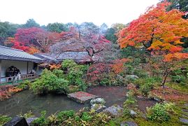 2012.11京都国際学会出張2-京都国際会議場，ラーメン名人，ホテルサンルート京都，実相院の紅葉
