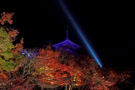 2012.11京都国際学会出張3-夜間特別拝観　紅葉の清水寺のブル-ライトアップ