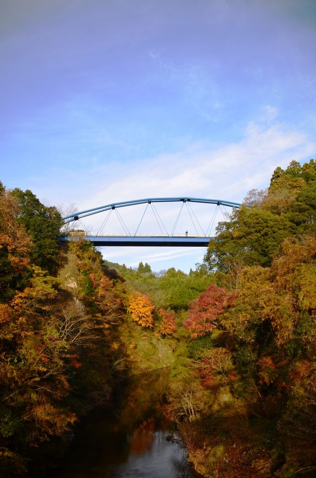 少し遅めの紅葉散策へ～小湊鉄道に乗って養老渓谷まで行ってきました。<br /><br />地元を始発の電車で出て養老渓谷に到着したのは7:30。<br />朝はとにかく寒いです。もっと厚着をして来ればよかったと後悔。<br /><br />紅葉はどうだったかというと…実は期待していたほどではなかったです。。。<br />さすがに12月の紅葉ともなると、ピーク時のいろは坂のような光景を期待してはいけないですね。<br /><br />しかしいたる所で落ちた紅葉で真っ赤な絨毯が作りあがっており、これには感動!