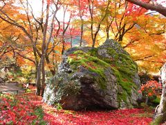 ２０１２年　京都・紅葉　嵐山の宝厳院