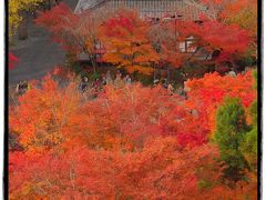 古都京都の四季をゆく・秋編【４】～「もみじ」に染まる永観堂禅林寺～