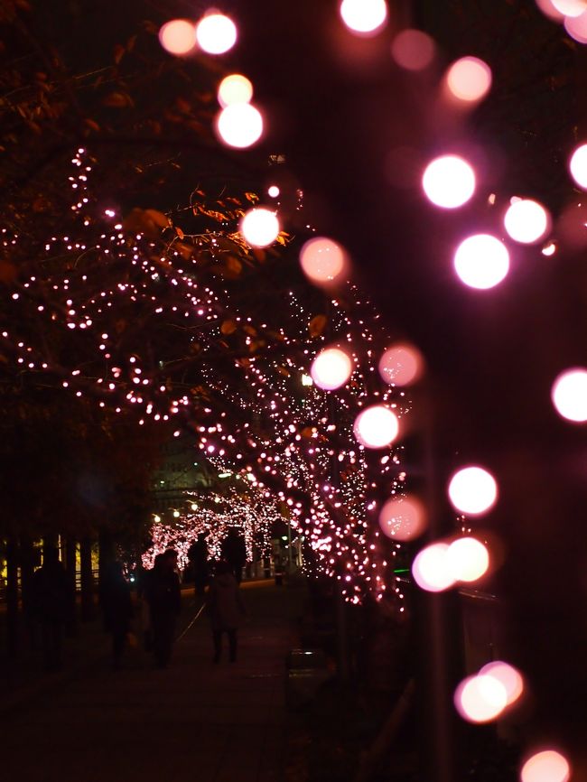 先週の東京ミッドタウンに続いて、今週もまたクリスマス・イルミに行くからね～！と（私だけ）気合い１００％！<br /><br />で、見つけたのが、冬の桜・・と名づけられた目黒川沿いのイルミネーション。東京ミッドタウンはブルー系イルミだったので、今度はがらっと変わってピンク系でいいね！と、雨が降り出す前に間に合いますように～！と願いながら、煌めく冬の桜並木を目指した。<br /><br />目黒川の（本物の）桜は、中目黒～池尻大橋あたりが特に有名だが、この冬の桜は、大崎～五反田あたりで催され、やや下流にあたる。春には、この辺りでも川沿いの桜並木がきれいに咲くようだ（行ったことはないが・・）。<br /><br />再開発地区のオフィス街のせいか、思ったよりもひっそりとしていて混雑もなく、ゆっくりと落ち着いて散策できるのが、この辺りのいいところ・・・。<br /><br />ピンク色に煌めく冬の桜は、なかなかロマンチックな雰囲気であった。<br />