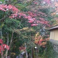 2012年秋は滋賀の紅葉ざんまいの旅！（前編）～多賀大社・湖東三山・永源寺～