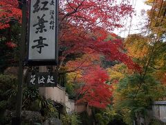 『　紅葉・真っ盛り！の　奥湯河原・・・に　行こう　』　（紅葉色！の　茶席・・・で　ミニ・お点前。　「真鶴半島！の　原生林　＆　海岸線！散歩」の　日帰り！旅）　