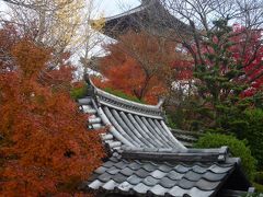 京都　初冬の真如堂でヤッパリはずせない敷き紅葉　　2012