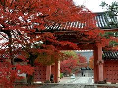 紅葉最盛時の京都②（祇園、真如堂、圓光寺、曼殊院）