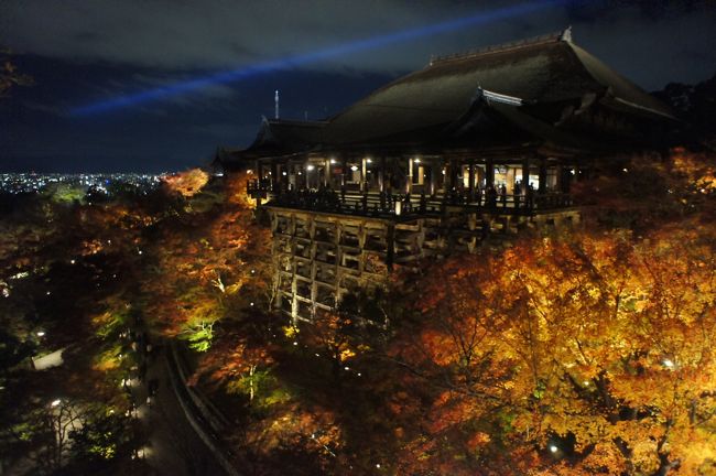 京都に住んでいることもあるせいか、なかなか京都観光をする機会が得られずにいました。しかし、先日松山から仕事でお世話になっている社長さんが京都にいらっしゃるという事で、ちょうど紅葉が美しい季節で夜間拝観をしていましたので行ってきました。<br /><br />今まで多くの世界遺産を見てきましたが、京都ってやっぱり良い街です！特に秋と春は…。