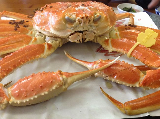 越前海岸へ蟹を食べに行って来ました。冬の日本海のドライブは、お天気が悪く海が荒れてても楽しいから不思議。<br /><br />美味しい蟹を食べて、温泉はいって、スーパーでお買い物してきました。