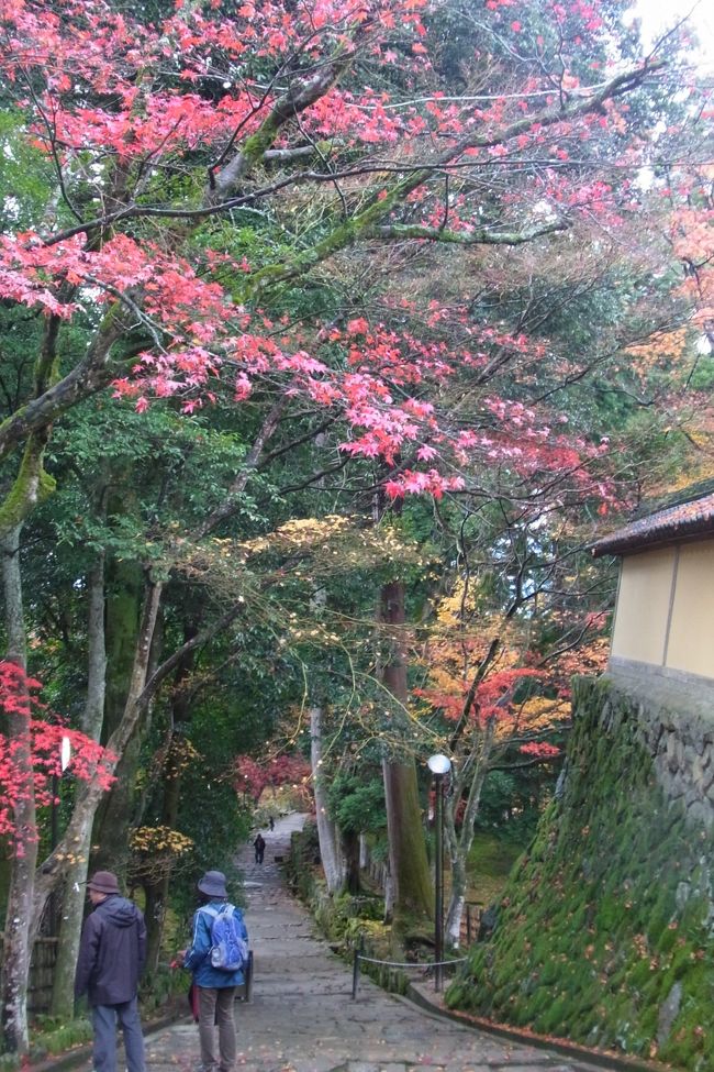 紅葉シーズンは、滋賀狙いときめていました。<br />京都も行きたいけど、きっと人が多すぎて子連れにはきびしかろうという理由です（実際は京都にも行ったんですが。旅行記はこれから・・・）。<br />今回はとにかくお目当ては紅葉！なので、1日目は多賀大社から湖東三山を下っていくコース、2日目は大津近辺のお寺めぐりとざっくり計画し、怒涛の寺院めぐりの2日間となりました。<br />日程がずれこんだこともあり、紅葉にはすこーし遅かったので、見ごろが過ぎたお寺もありましたが、西明寺と三井寺の素晴らしい紅葉と、雪の積もる比叡山の神秘的な光景に心が豊かになった気がした滋賀の旅でした♪<br />今度は桜の時期にも来ないと！あ、そうそう彦根・長浜も行かなくちゃ～<br /><br />1日目　多賀大社→湖東三山（西明寺→金剛輪寺→百済寺）→永源寺　ホテルラフォーレ琵琶湖泊<br />2日目　比叡山ドライブウェイ＆延暦寺（東塔）→琵琶湖ホテルでランチ→三井寺