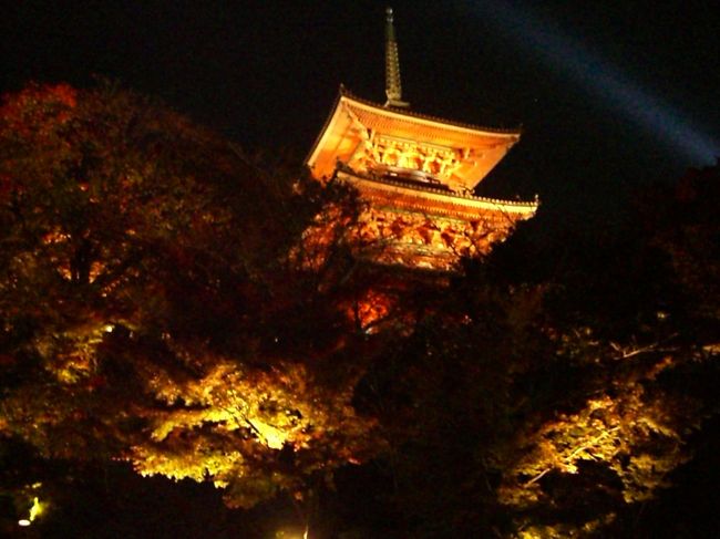 ２００７年は京都東山界隈のライトアップされた紅葉を楽しんできました