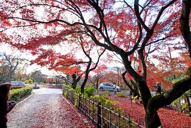 2012.11京都国際学会出張5-知恩院，円山公園の紅葉