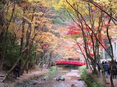 天竜浜名湖鉄道の旅