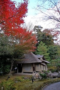 2012.11京都国際学会出張6-芭蕉堂で抹茶，ねねの道から高台寺の紅葉