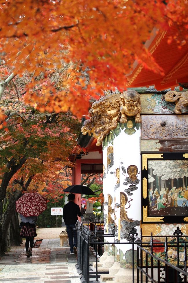 ■耕三寺の紅葉／広島県尾道市瀬戸田町<br />　瀬戸田町は広島県尾道市と愛媛県今治市を結ぶ「しまなみ海道」のほぼ中間点の生口島にあります。<br />　「耕三寺」は大阪の元実業家耕三寺耕三が慈母の菩提追悼の思いを込めて建立された浄土真宗本願寺派のお寺で「孝養の寺」と呼ばれています。紅葉と桜の名所としても有名です｡<br /><br />▼中国新聞より。&#39;12/11/22<br />　尾道市瀬戸田町の耕三寺境内で、モミジが見ごろを迎えている。12月２日まで「紅葉まつり」を開催。写真コンテストや境内を巡る子ども向けクイズなどがある。<br />　約３００本のモミジが鮮やかな赤や黄に染まった。イチョウも色付き、訪れた人は写真に収めながら散策した。見ごろは今月末まで。同寺は「お堂や塔の華やかな建築物と共演する紅葉を楽しんで」と呼び掛けている。<br /><br />【手記】<br />　今年最後の観賞、散りゆく紅葉…補欠レンズ使用しての散策記でしたが、それなりに癒された耕三寺でした。