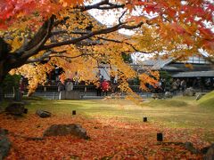 京都で紅葉を楽しみ奈良・大阪をめぐる