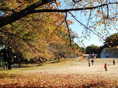 日立中央研究所庭園、秋の一般公開