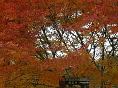 琵琶湖一周紅葉めぐり「石道寺」界隈～「興志漏神社」界隈編