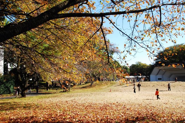 東京都国分寺市にある日立中央研究所庭園は、春と秋の年2回、一般公開されます。庭園の中には武蔵野の貴重な自然林が残り、また、国分寺崖線(こくぶんじがいせん)という河岸段丘に沿って多摩川へ流れていく、二級河川の野川の源流の一つとなっています。NHKブラタモリで放映されてから一度行ってみたいと思ってましたので、今回訪ねてました。