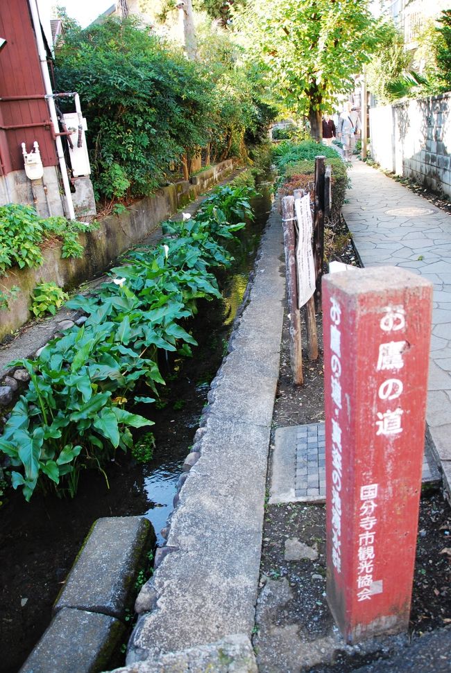 日立中央研究所を出たあと国分寺、お鷹の道を散策してみました。<br /><br />帰りは、代々木上原で途中下車してイスラム寺院「東京ジャーミイ」に寄ってみた。