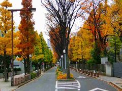 早稲田大学・戸山公園の紅葉