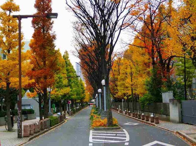 早稲田大学・戸山公園の紅葉
