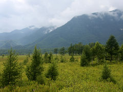 夏真っ盛りの日光・戦場ヶ原