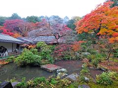 京都国際学会出張2-京都国際会議場，ラーメン名人，ホテルサンルート京都，実相院の紅葉