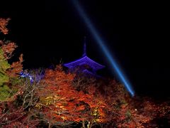 京都国際学会出張3-夜間特別拝観　紅葉の清水寺のブル-ライトアップ