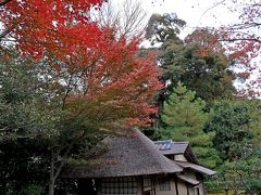 京都国際学会出張5-知恩院，円山公園，高台寺の紅葉，帰京