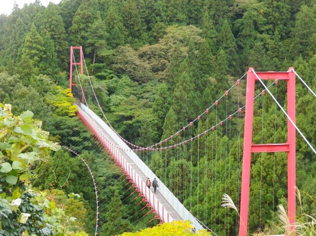 彌彦神社の菊祭りと弥彦公園の紅葉を見た後、寺泊方面に、途中、燕市の国上山の麓にある良寛さんゆかりの国上寺へ、朝日山展望台で風景を眺めた後、寺泊で昼食を取り出雲崎へ。<br /><br />良寛さまの故郷、出雲崎の道の駅に立寄り、柏崎市大広田にある、広田鉱泉「奥の湯湯元館」に宿泊、越後路の秘湯でのんびりしました。<br /><br />日本海側の道路を柏崎刈羽原発付近まで行きそこから山の方に走りました。