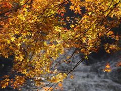 千葉県　～九十九谷の夜明け～養老渓谷・粟又の滝の紅葉～