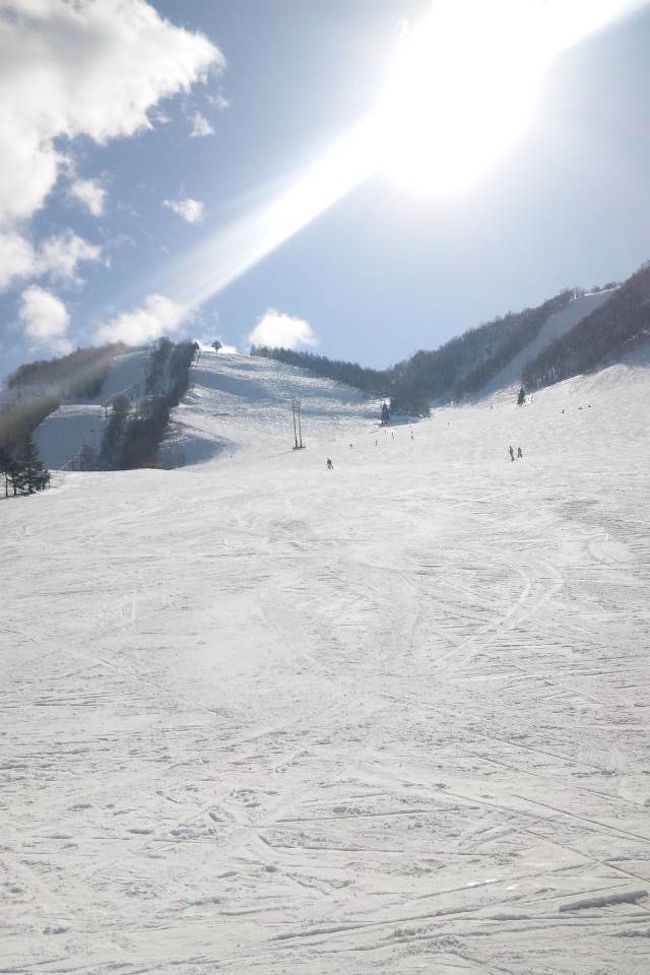 １月８日から１泊２日、総勢１１名で高山市にある「ほうのき平スキー場」でスキー・スノボ<br />宿泊は奥飛騨温泉「お宿いちだ」です