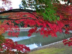 岩手・宮城　東北で世界遺産と温泉と紅葉狩り！