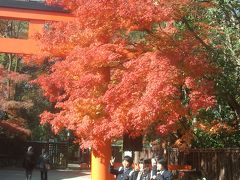 糺の森で京都の紅葉をたのしむ。しずかな落ち着いたところです。