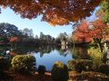 晩秋の飛騨高山・金沢・白川郷の旅☆２　朝な夕なに美しすぎる兼六園の紅葉を見る　～Nov 2012～