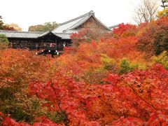 2012年11月の京都　紅葉三昧　1日目は東福寺