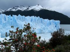 団塊夫婦の世界一周絶景の旅から−（11）エル・カラファテ＆ペリトモレノ氷河