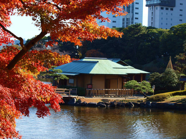 貿易センタービル展望室で東京タワー　スカイツリー<br />　　　　富士山を眺め<br />http://4travel.jp/traveler/jiiji/album/10731692/<br /><br />初めての道をてくてくと　秋の「浜離宮恩賜庭園」へ<br />http://4travel.jp/traveler/jiiji/album/10731833/<br /><br />浜離宮恩賜庭園<br />http://www.tokyo-park.or.jp/park/format/index028.html