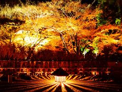 紅葉の〆に初めて嵐山花灯路と宝厳院夜間特別拝観に行ってきました