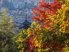 紅葉京都　１　清水寺周辺　紅葉の穴場を教わるの巻