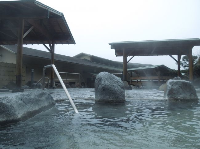 箱根は西の有馬と同じく、とにかくお高め。。。<br />そんな中、土日に温泉行きたくなったいぬいぬにこんなプランが見つかりました。<br />その名も「ちょっと訳ありお部屋より温泉と食事を楽しもう♪」なんて。<br />いぬいぬの気持ちにうってつけ。<br /><br />2階端方のお部屋で目の前に他の建物の壁等があり､<br />窓からの景色はほとんど見えないお部屋です。<br />また、内湯は温泉でございますが<br />昔ながらのタイル張りのお風呂となります。<br />(ユニットバスではありません)<br />【和室】部屋の広さは、１０帖<br /><br />気にならへんと思う。。。<br />なら、乗った！と予約して、そのまま駅に向かいます。