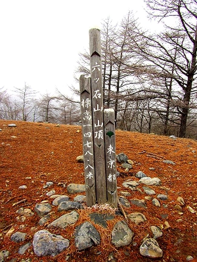 12月1日、今年最後の山歩きに選んだのは奥多摩の六つ石山。<br />2週連続の奥多摩である。<br />天気予報では終日曇り。とりあえず雨の心配はない。<br />9時頃にスタートし、15時台には下山というスケジュール。<br /><br />六つ石山の登山コースはいくつかあるが、今回は奥多摩湖近くの水根から入り、石尾根を下って来るルート。<br />この石尾根、途中は防火尾根になっており視界は良いらしい。かつ長い。<br /><br />こんな事前情報でいよいよスタート。<br />しかしまさかこの後、驚きの展開になるとは…