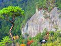 愛知県　鳳来寺山　紅葉狩り